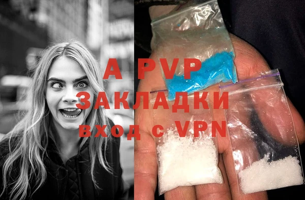 амф Пестово