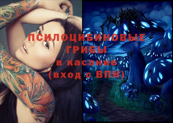 амф Пестово
