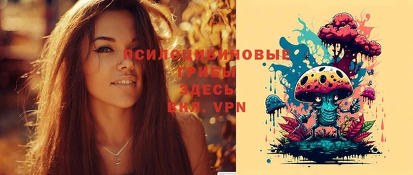 гашик Грязовец