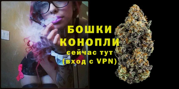 дживик Переславль-Залесский