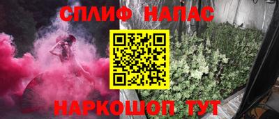 гашик Донской