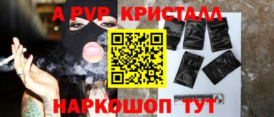 гашик Донской