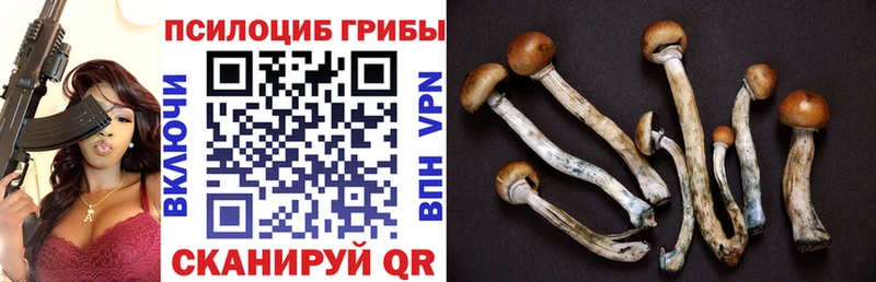даркнет сайт  Миллерово  Галлюциногенные грибы Cubensis 